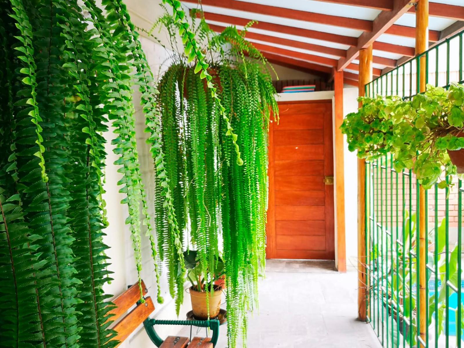 리마 Casa Amarello 아파트 외부 사진